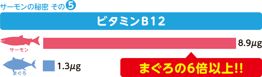 T[̔閧5 r^~B12 T[F8.9g ܂F1.3g y܂̂U{ȏ!!z